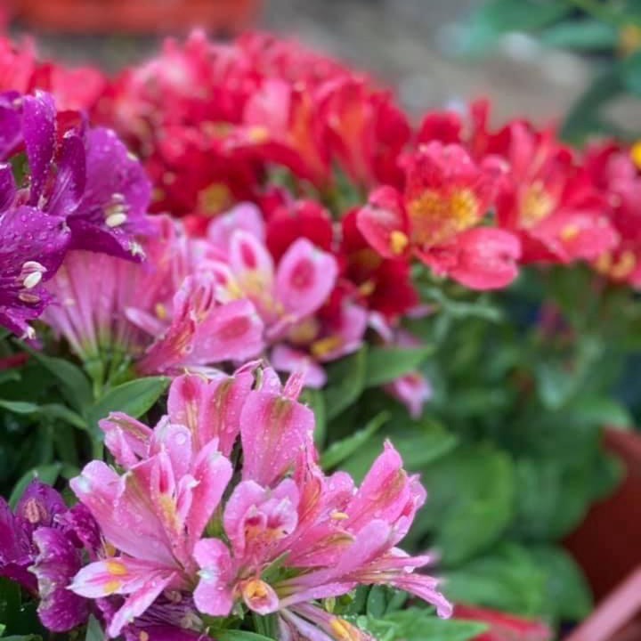 Photo of Outdoor in Potos