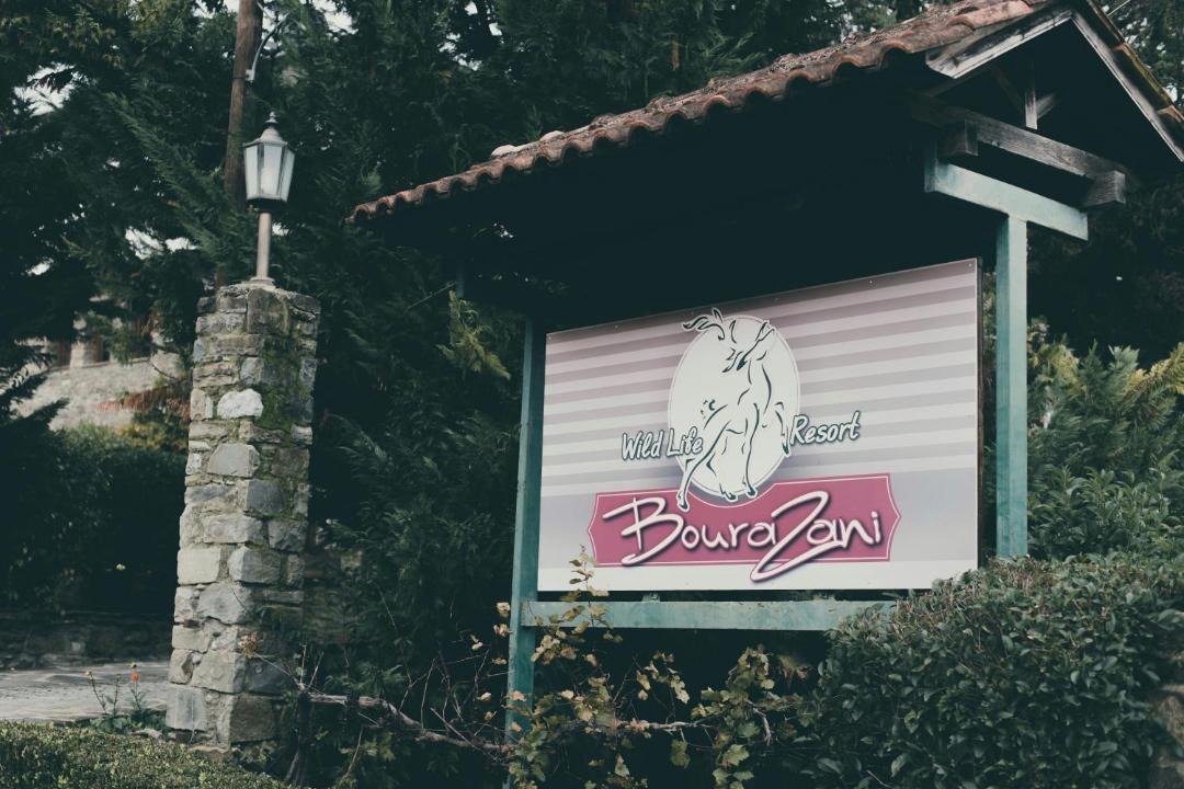 Photo of Others in Konitsa