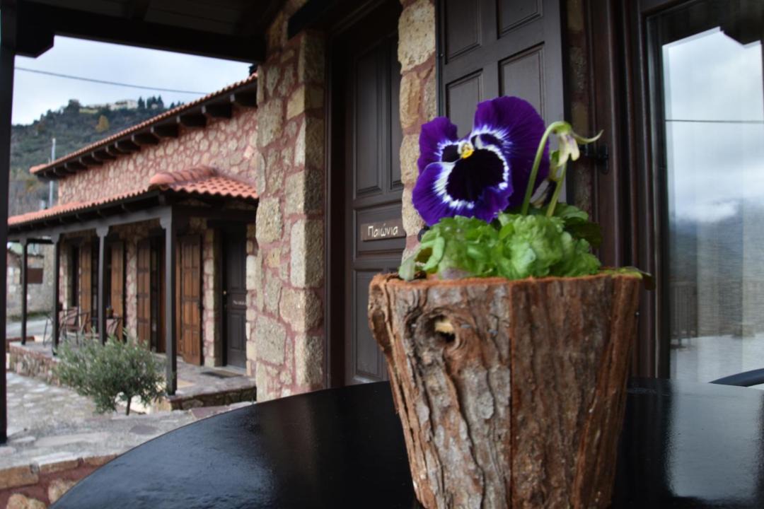 Photo of Others in Mesaia Trikala