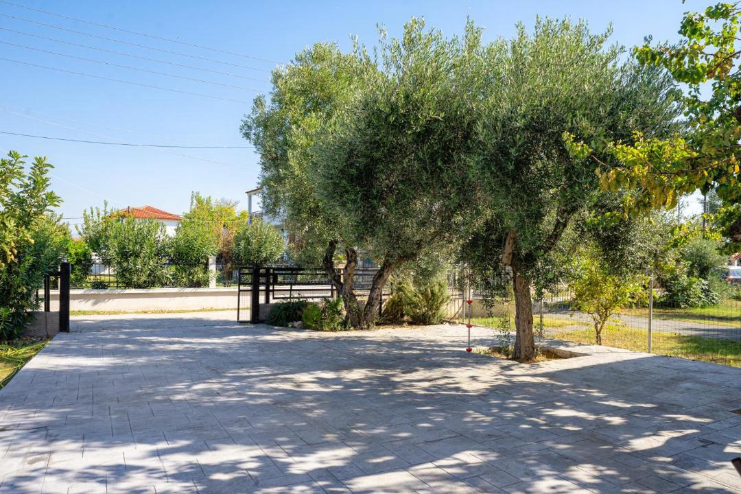 Photo of Others in Nea Playia