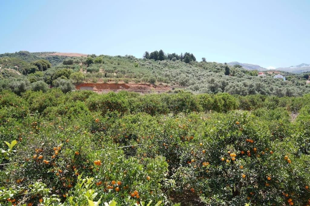 Photo of Outdoor in Agia