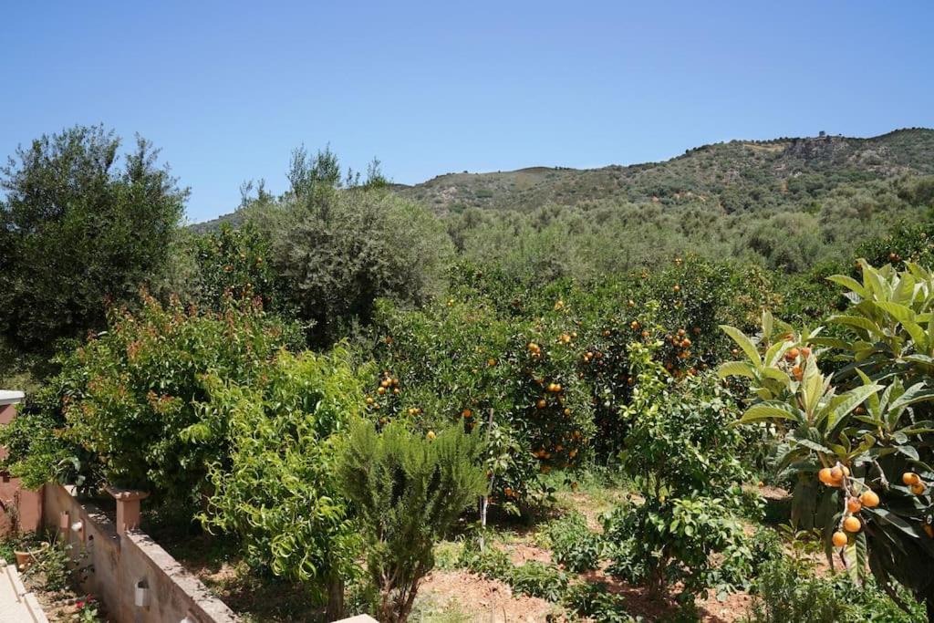 Photo of Outdoor in Agia