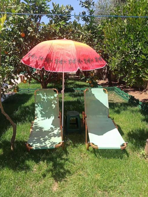 Photo of Others in Agia