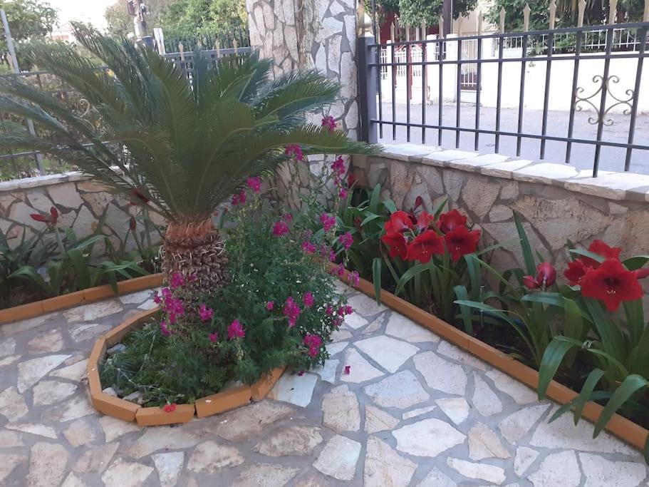 Photo of Patio Balcony in Diakofto