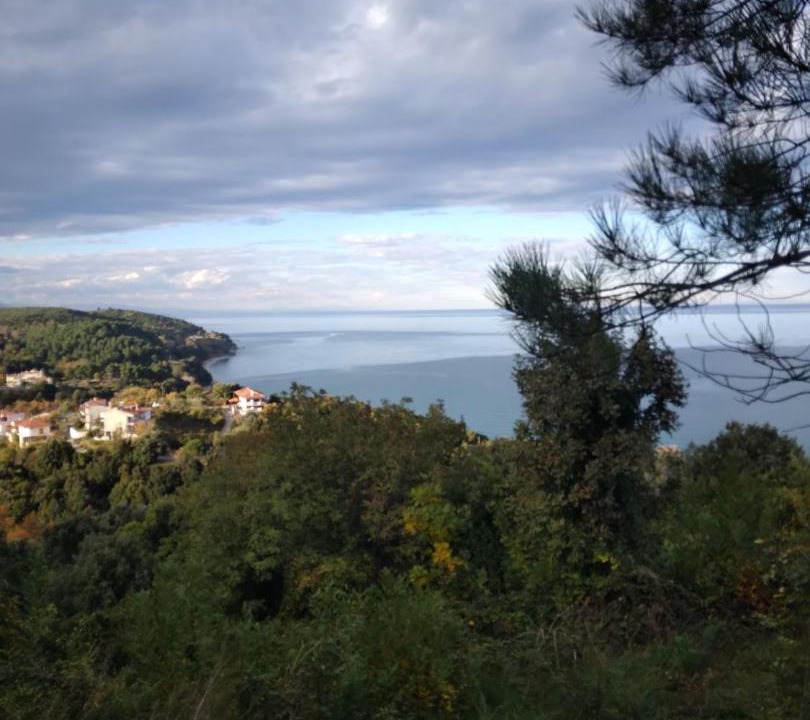 Photo of Outdoor in Agia