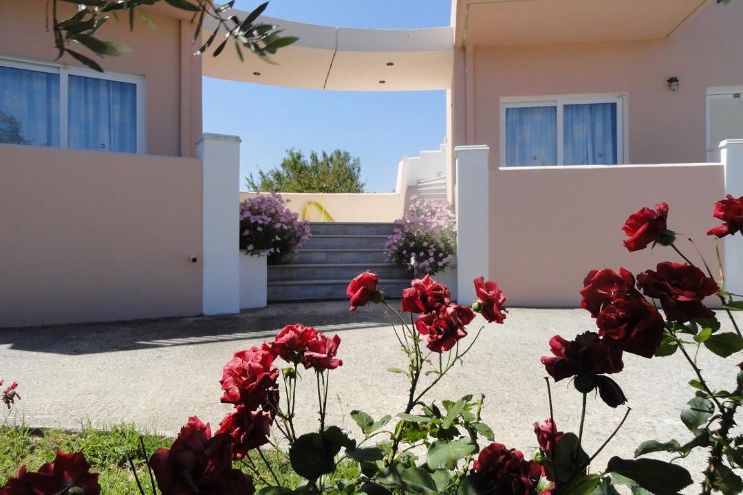 Photo of Others in Platanias