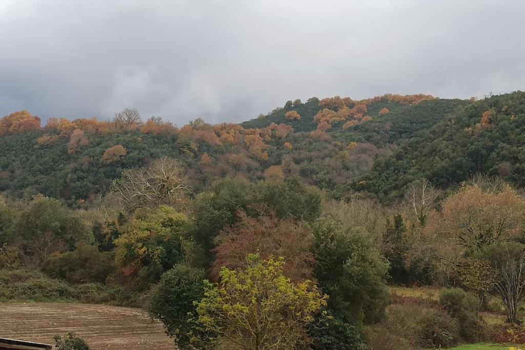 Photo of Others in Dodoni