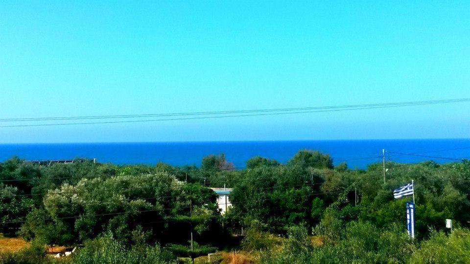 Photo of Others in Zalongo