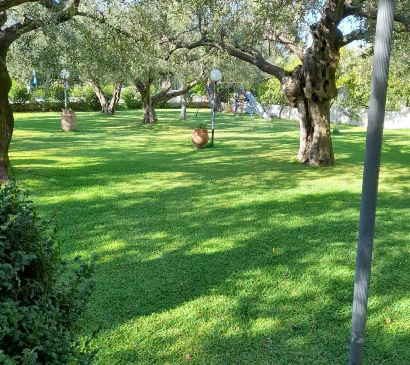 Photo of Others in Zalongo