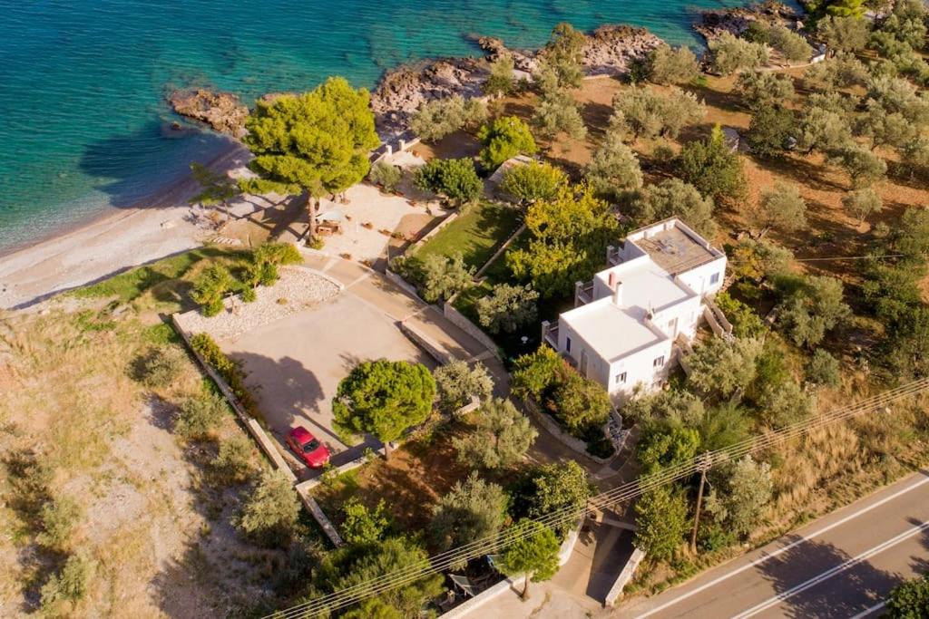 Photo of Others in Paralia