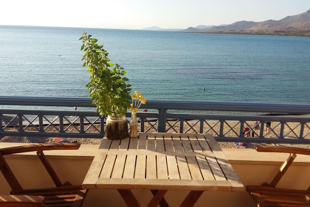 Photo of Others in Elafonisos