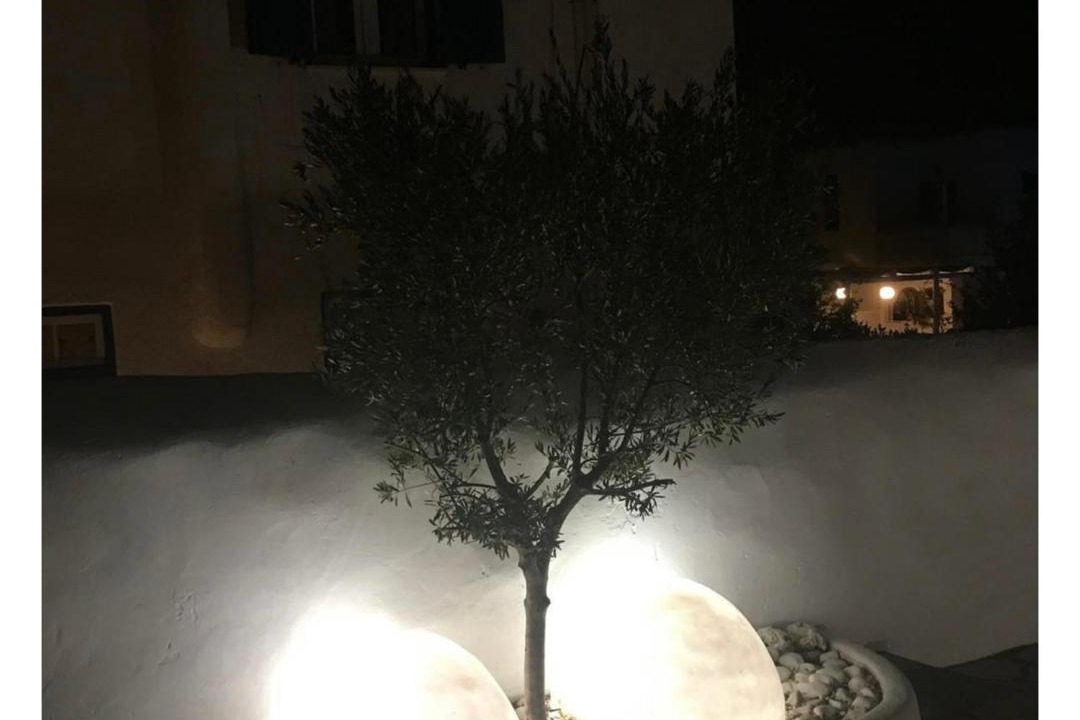 Photo of Others in Mykonos