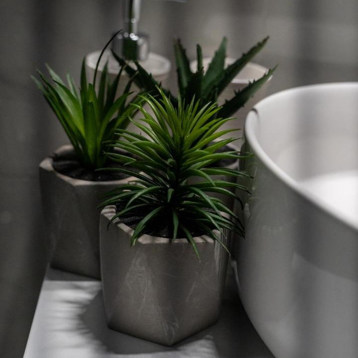 Photo of Bathroom in Arcadia Region