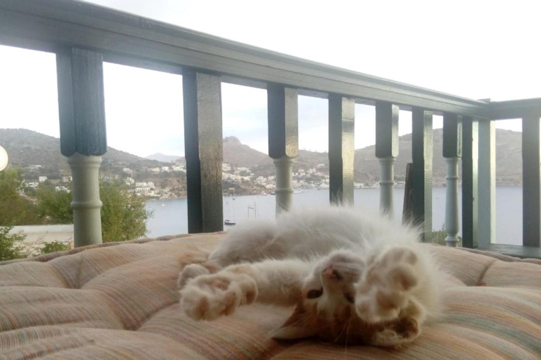 Photo of Livingroom in Leros