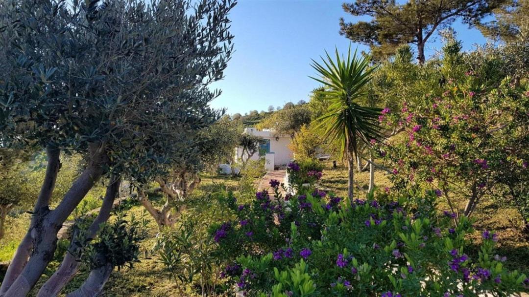 Photo of Others in Leros