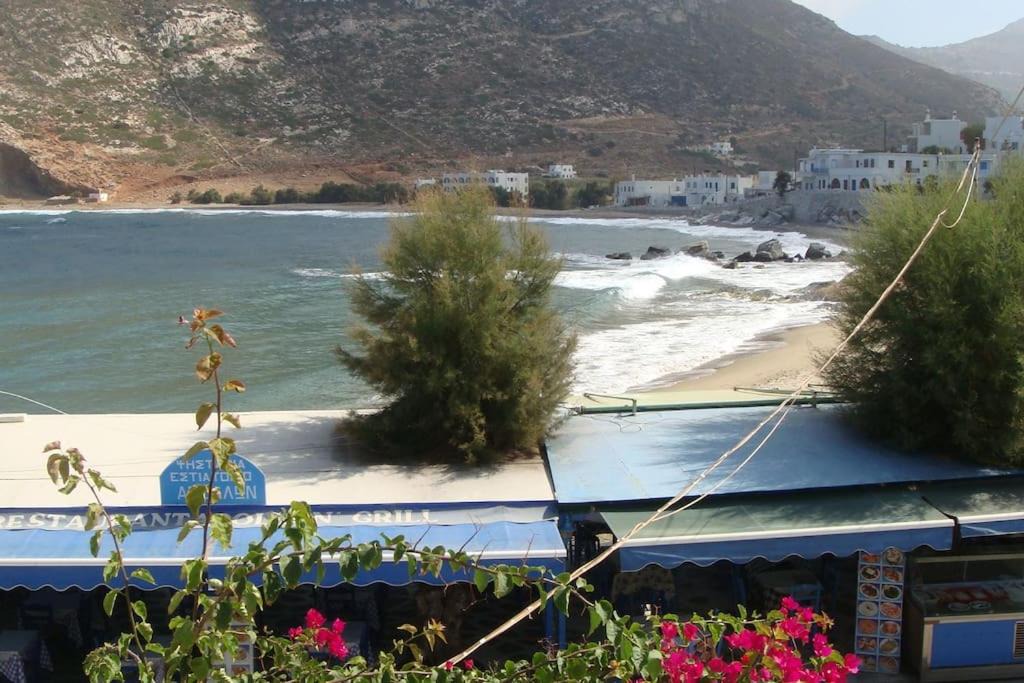 Photo of Others in Apollonas