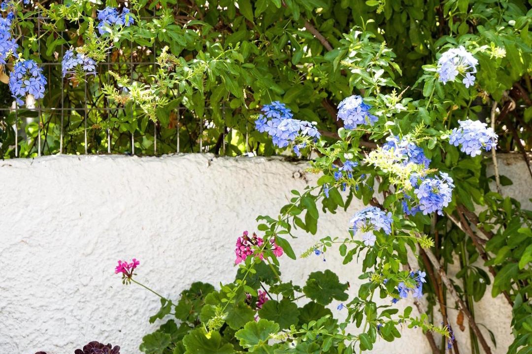 Photo of Outdoor in Pylos-Nestoras