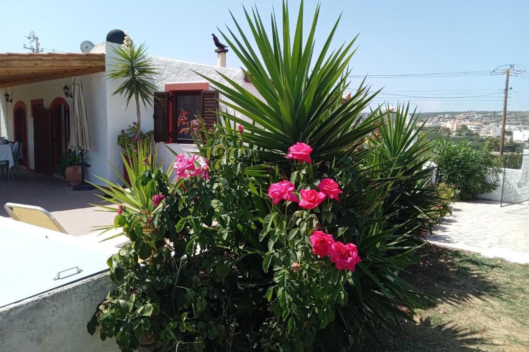 Photo of Others in Sitia