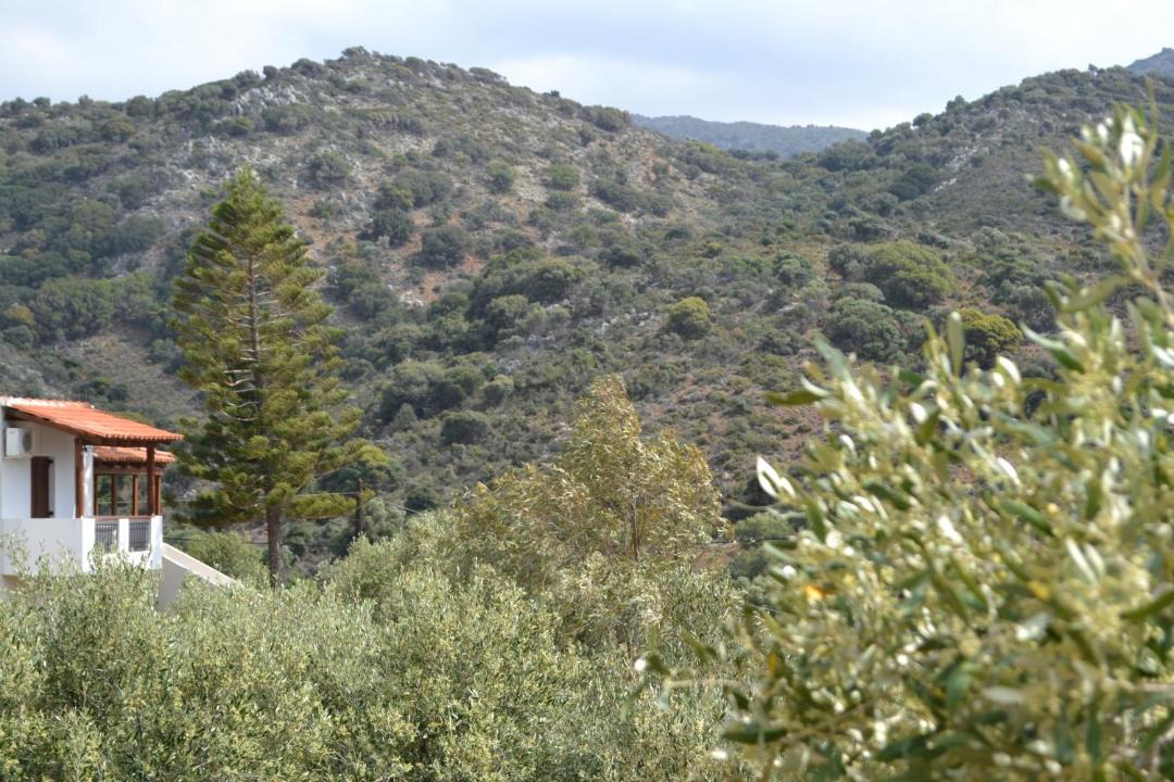 Photo of Others in Milatos