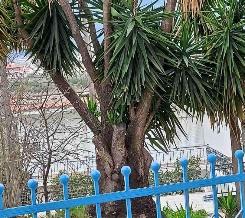 Photo of Others in Igoumenitsa