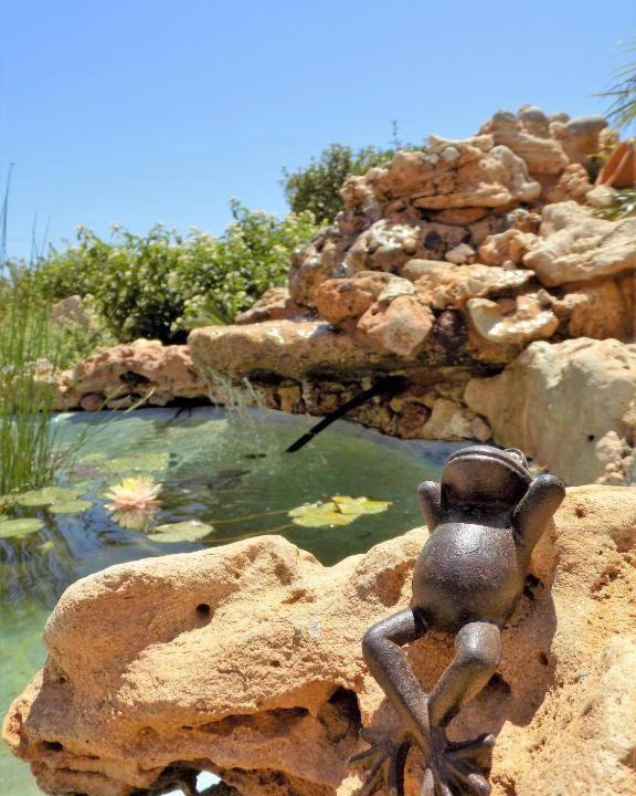 Photo of Others in Xerokampos