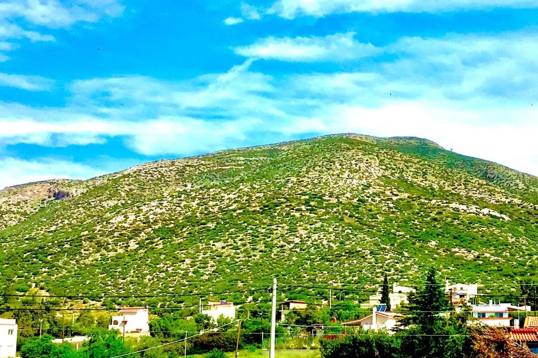 Photo of Others in Saronikos