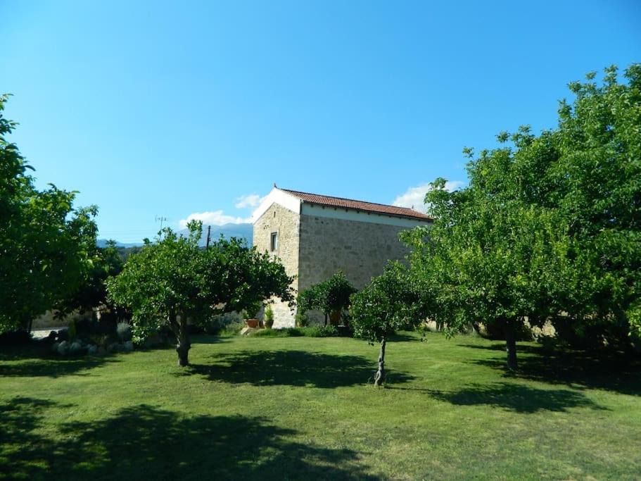 Photo of Buildings in Faneromeni