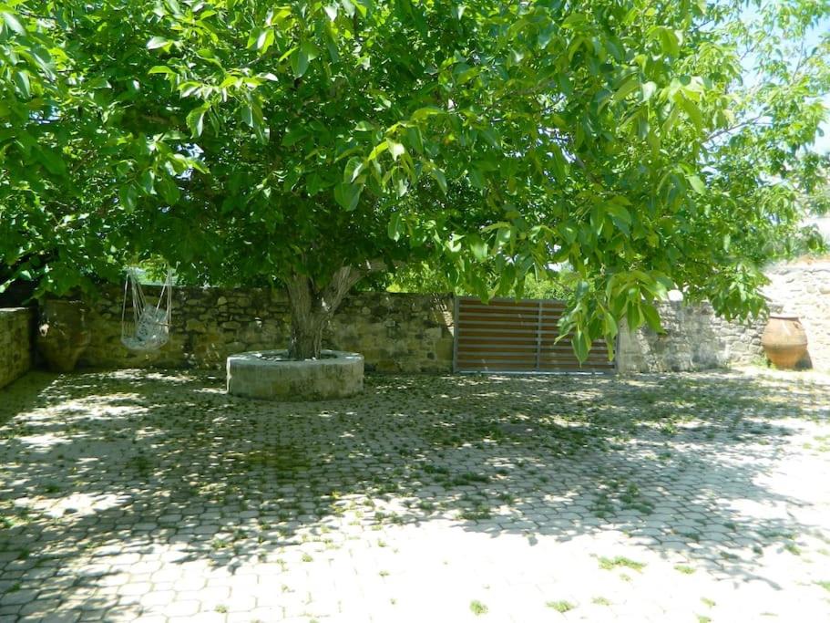 Photo of Others in Faneromeni