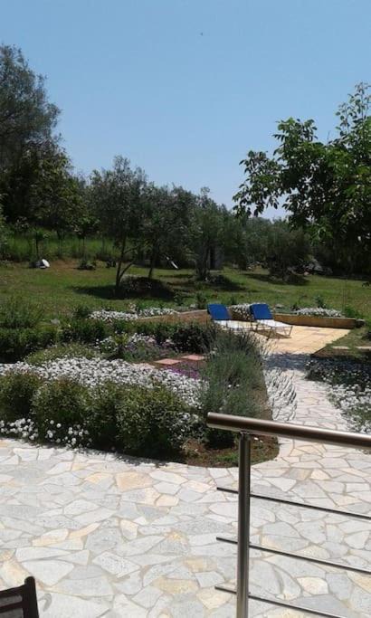 Photo of Others in Paleokastritsa