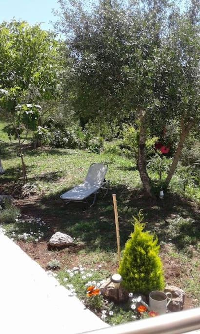 Photo of Others in Paleokastritsa