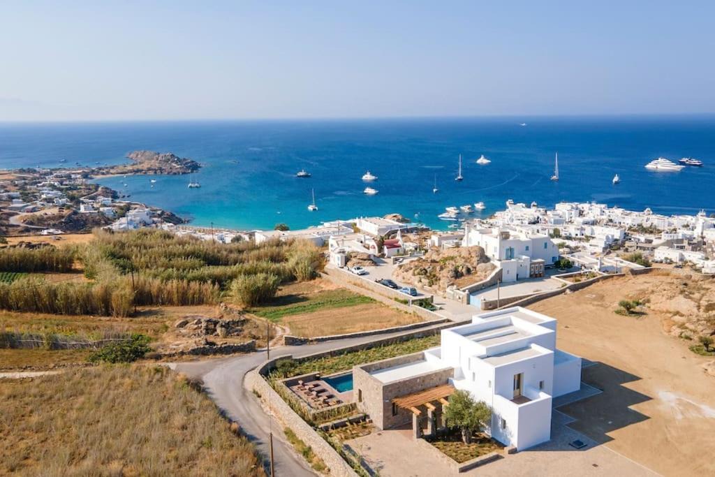 Photo of Others in Platis Gialos