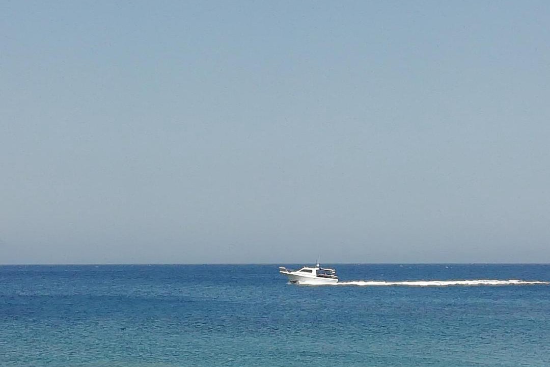 Photo of Others in Palaiochora