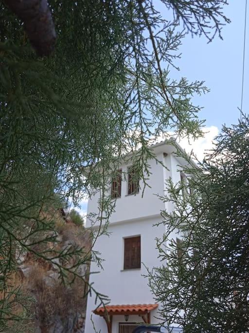 Photo of Others in Trikeri