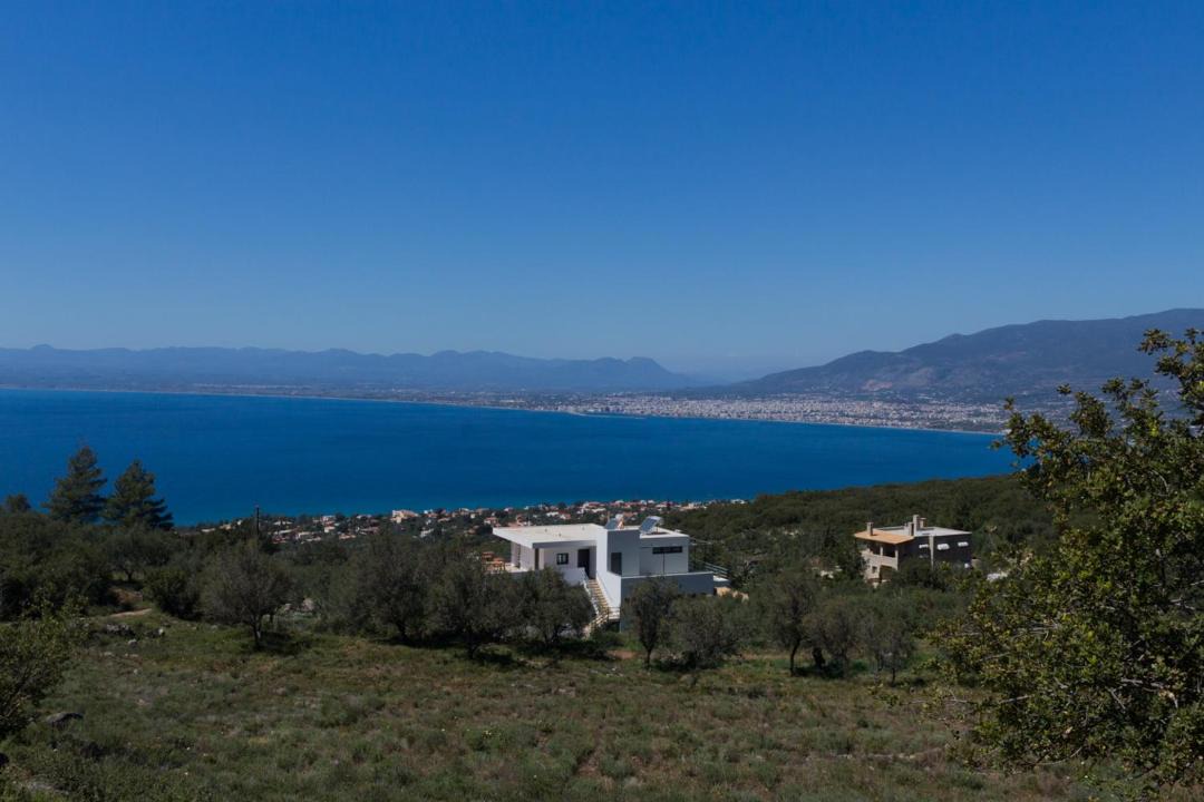 Photo of Others in Diasella