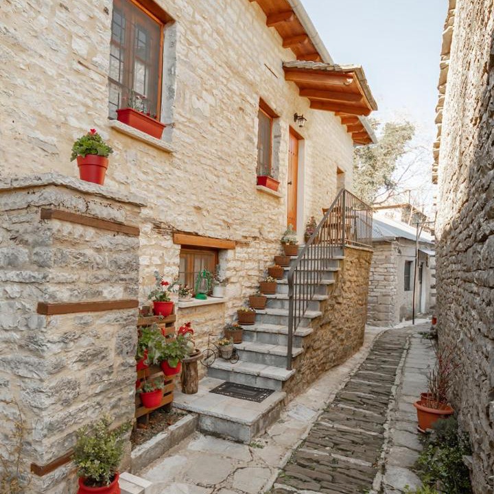 Photo of Others in Monodendri