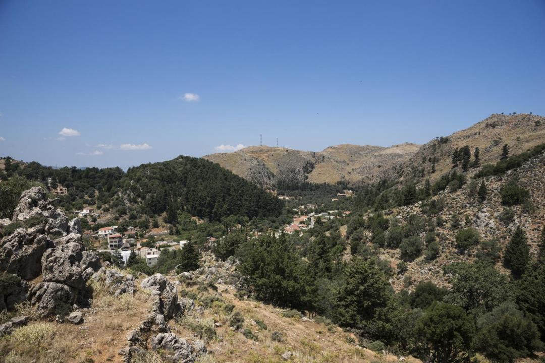 Photo of Others in Theriso