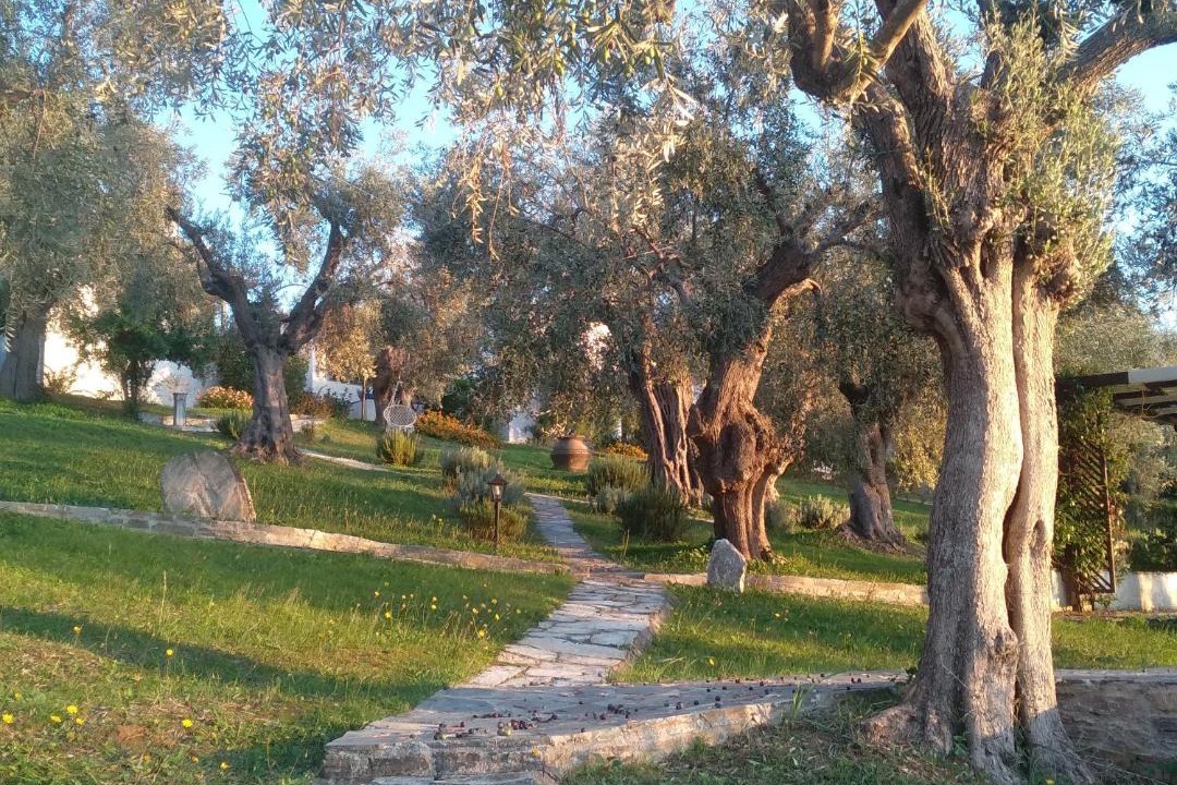 Photo of Others in Milina