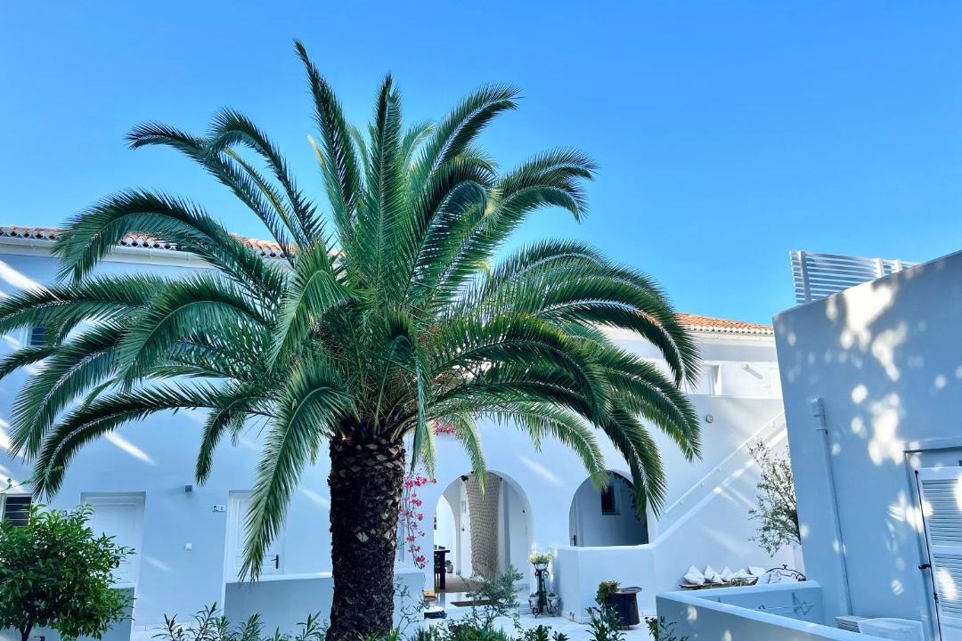 Photo of Others in Spetses