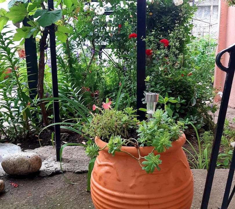 Photo of Patio Balcony in Asprovalta