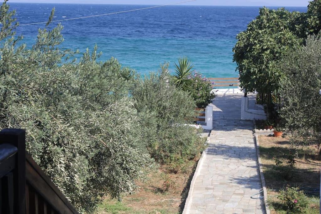 Photo of Outdoor in Volos