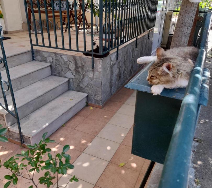 Photo of Others in Xanthi