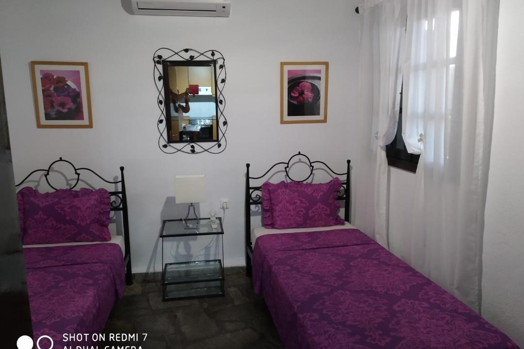 Photo of Others in Aristotelis