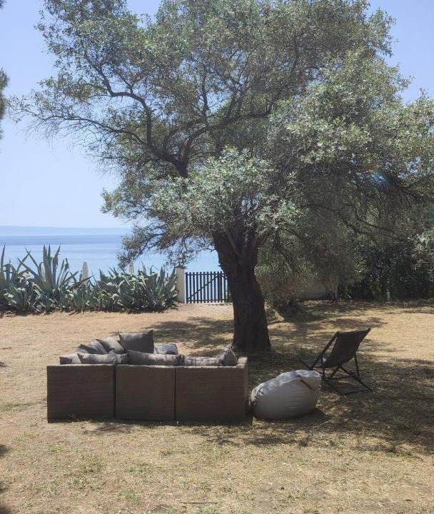 Photo of Others in Aristotelis