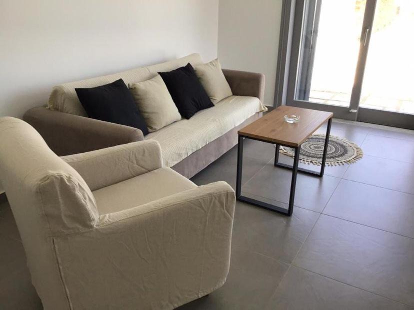 Photo of Livingroom in Paleopolis