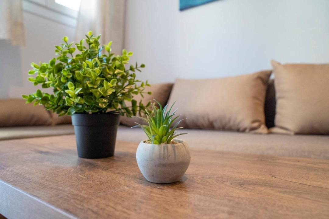 Photo of Livingroom in Ioannina Town Centre