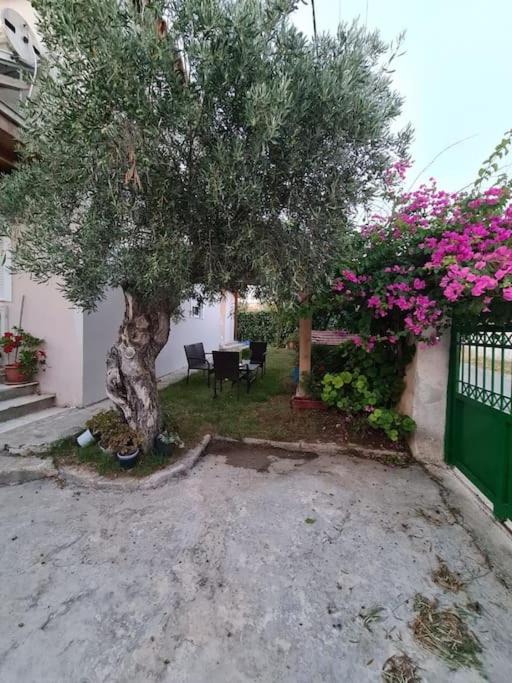 Photo of Buildings in Spata-Artemida