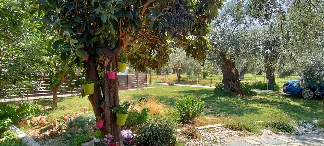 Photo of Outdoor in Megalos Prinos
