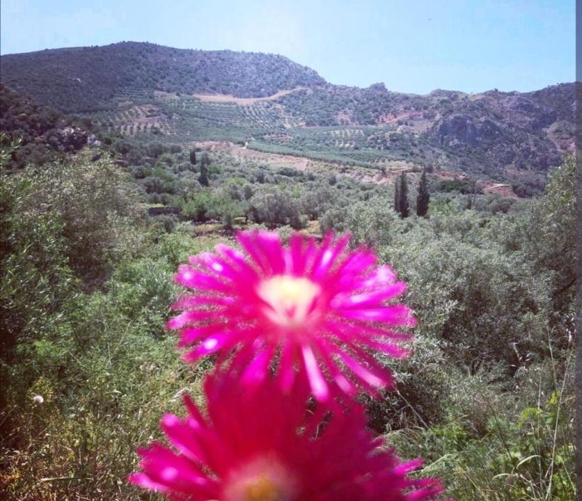 Photo of Outdoor in Sfinari