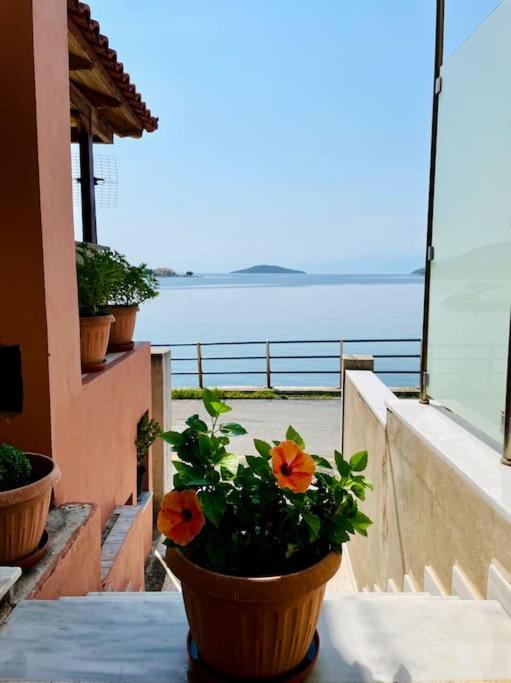 Photo of Patio Balcony in Dorida
