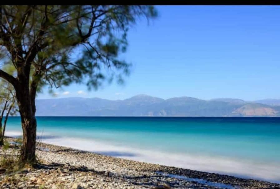 Photo of Others in Aigio